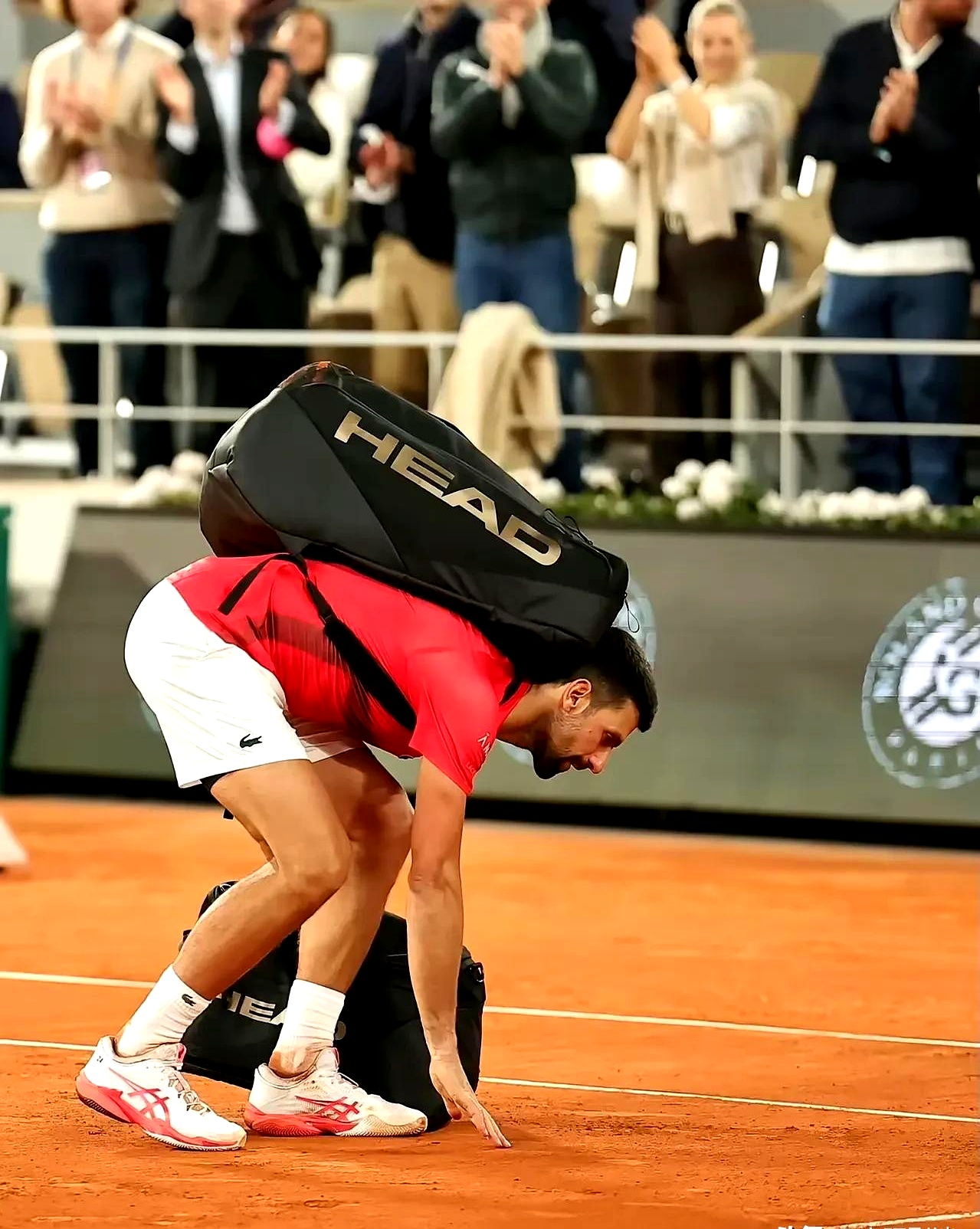 包含欧洲网球队血洗法国网球队,德约科维奇高光表现的词条 包含欧洲网球队血洗法国网球队,德约科维奇高光表现的词条