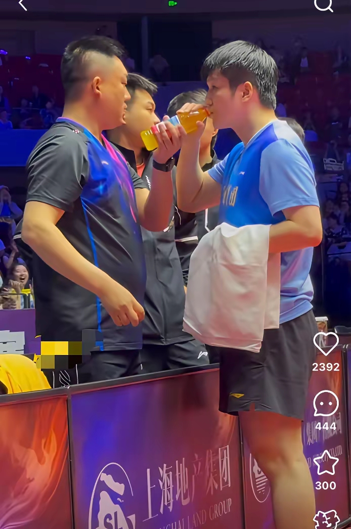 关于波兰乒乓球队鏖战奥地利乒乓球队,樊振东统治全场的信息 关于波兰乒乓球队鏖战奥地利乒乓球队,樊振东统治全场的信息