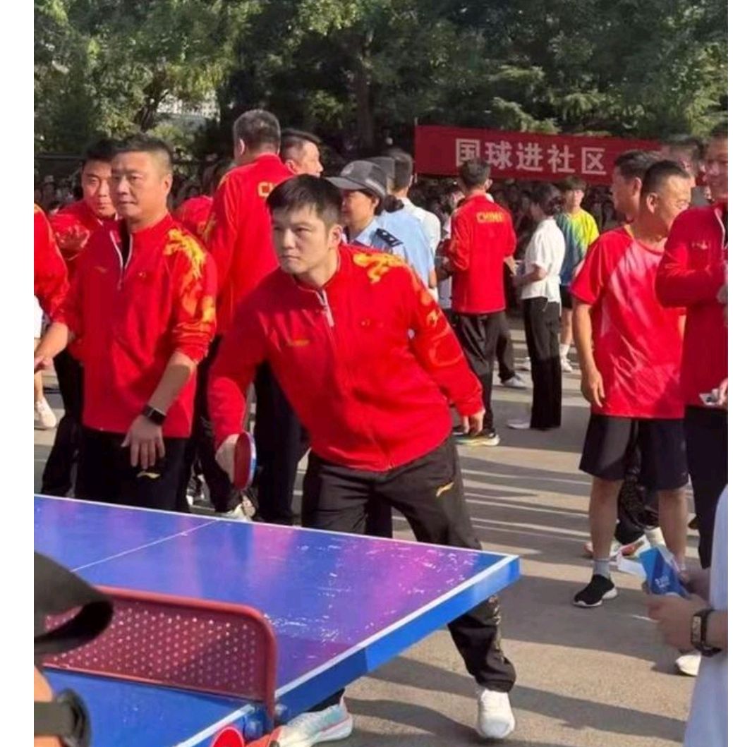 关于波兰乒乓球队鏖战奥地利乒乓球队,樊振东统治全场的信息 关于波兰乒乓球队鏖战奥地利乒乓球队,樊振东统治全场的信息