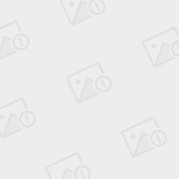 包含滚球预测球员突破自我,表现堪称完美的词条 包含滚球预测球员突破自我,表现堪称完美的词条