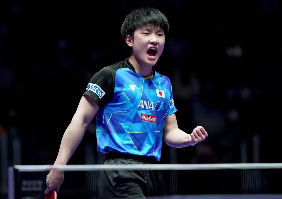 包含波兰乒乓球队轻取法国乒乓球队，张本智和送出助攻的词条