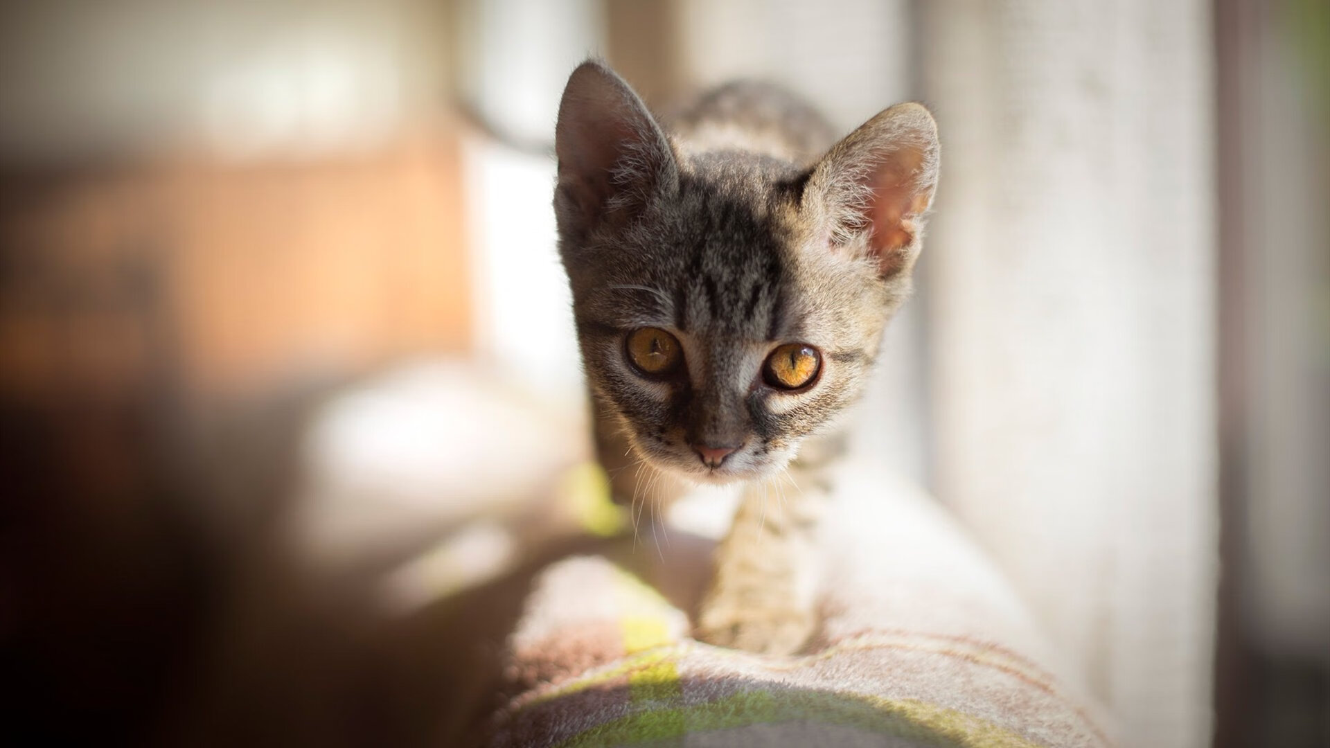 篮球之夜的双重奏，热火的休止符与伦纳德的惊叹号