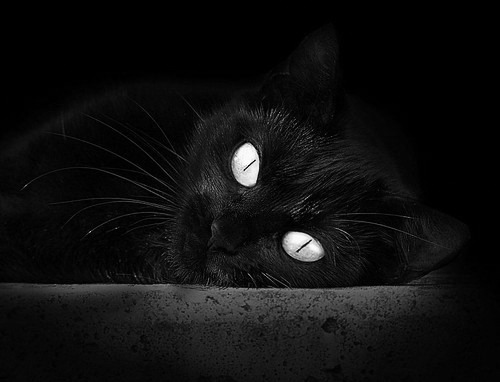 赛道与绿茵场的双重奏,F1年度争冠焦点战与埃及击败那不勒斯的启示