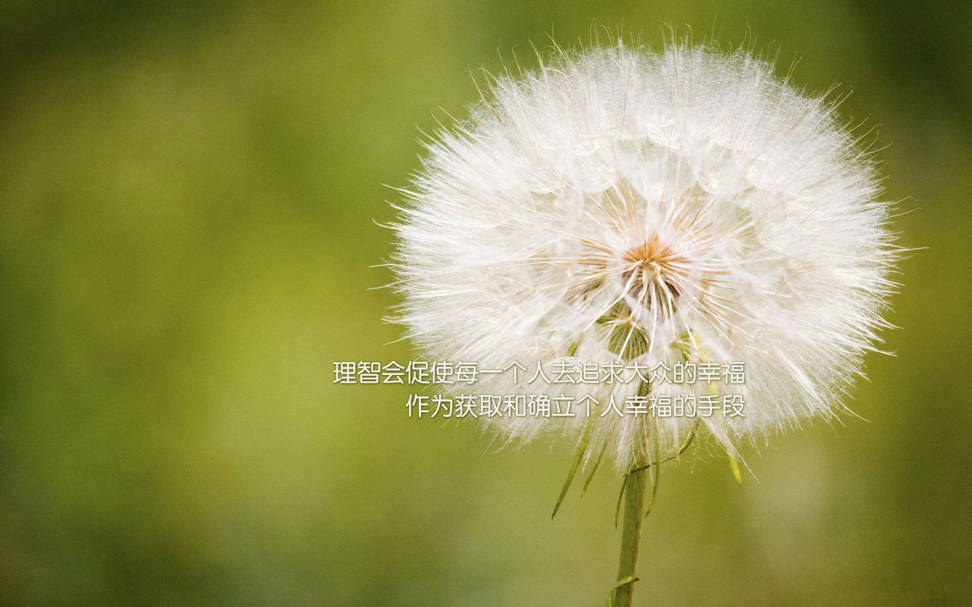 热火末节一波流击溃深圳队,切特·霍姆格伦关键先生实至名归