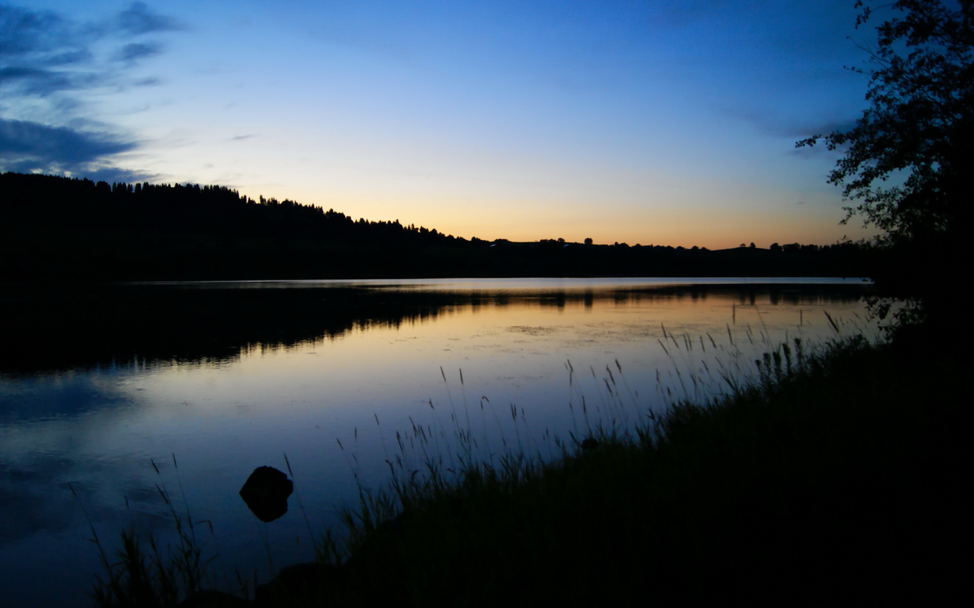 悬念提前终结！字母哥在年度焦点战中完成个人统治