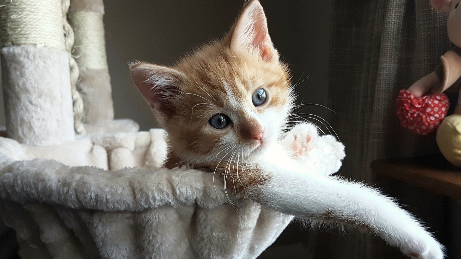 时光雕刻大场面，从传奇铁血到新王加冕