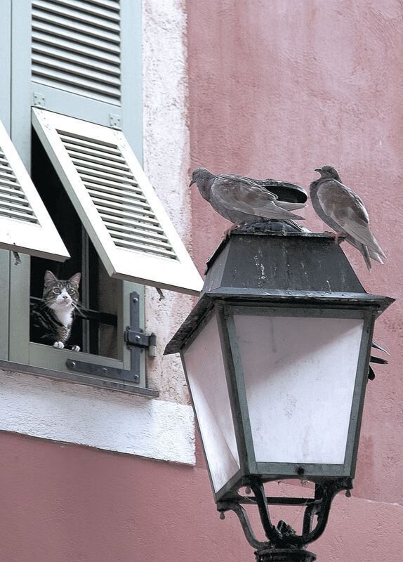 爆冷！开拓者客场掀翻勇士，杰伦·格林30+8成关键先生