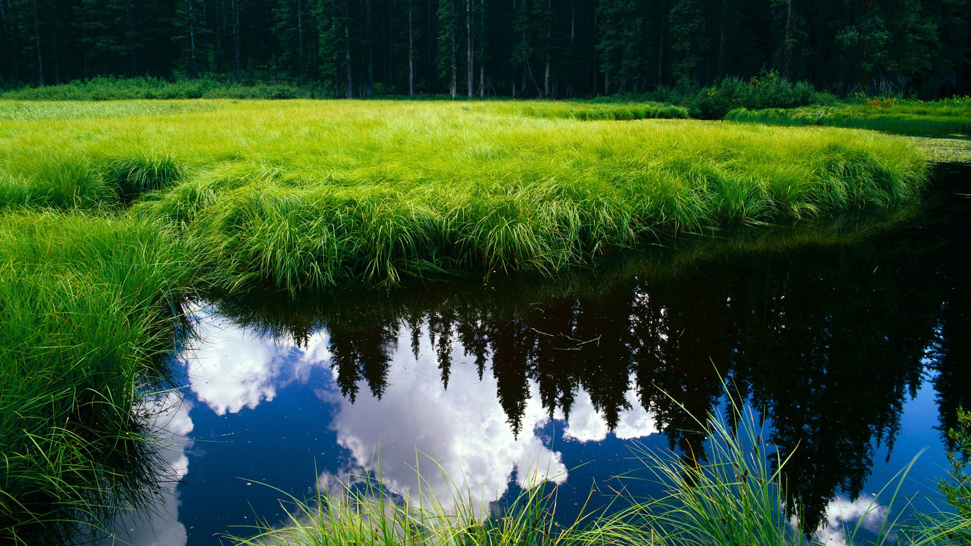 世俱杯分组-星夜启程，罗德里戈在亚平宁的璀璨加冕之夜