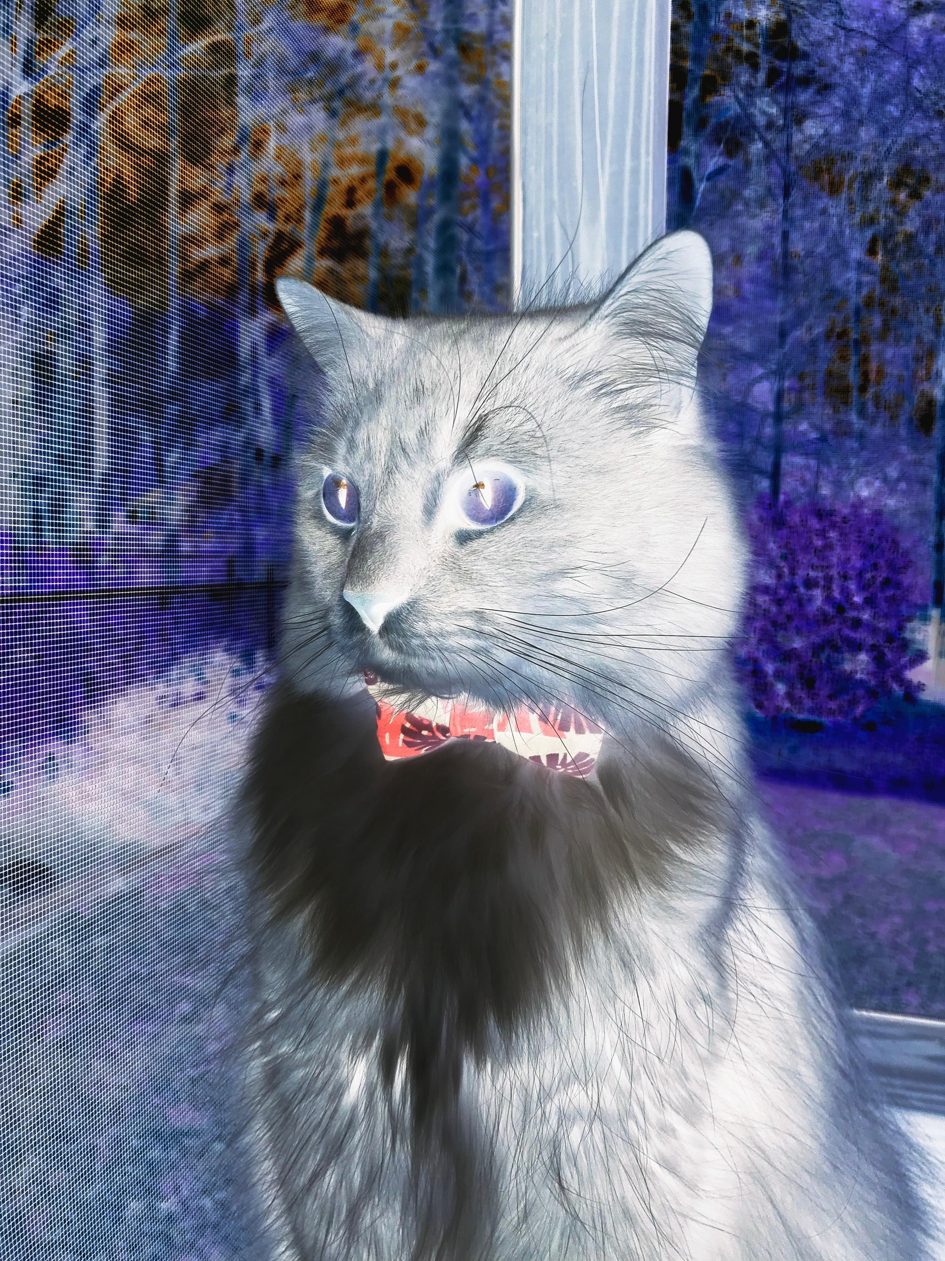 萨拉赫闪电战锁定胜局，曼联加时鏖战力克希腊劲旅