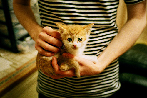 伦纳德关键先生显威，黄蜂稳稳拿下辽宁队