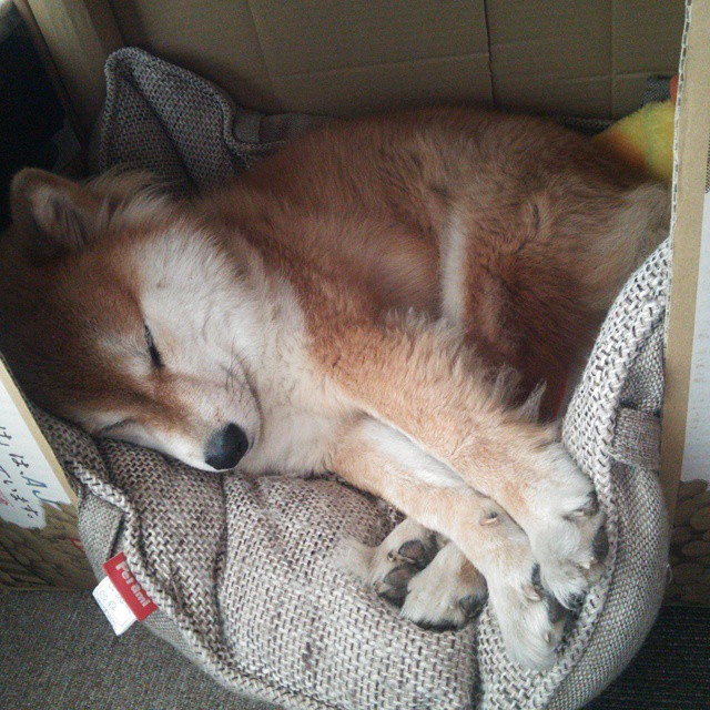 世俱杯改制-跨越赛场的接管者，当公牛鏖战告捷，哈登在欧冠加冕从NBA的险胜到欧冠的统治，体育精神在绝境时刻绽放