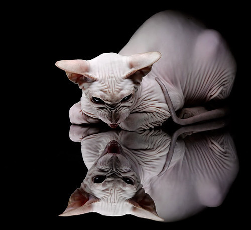 巴尔韦德爆发！玻利维亚强势拿下利物浦，南美奇迹震撼足坛