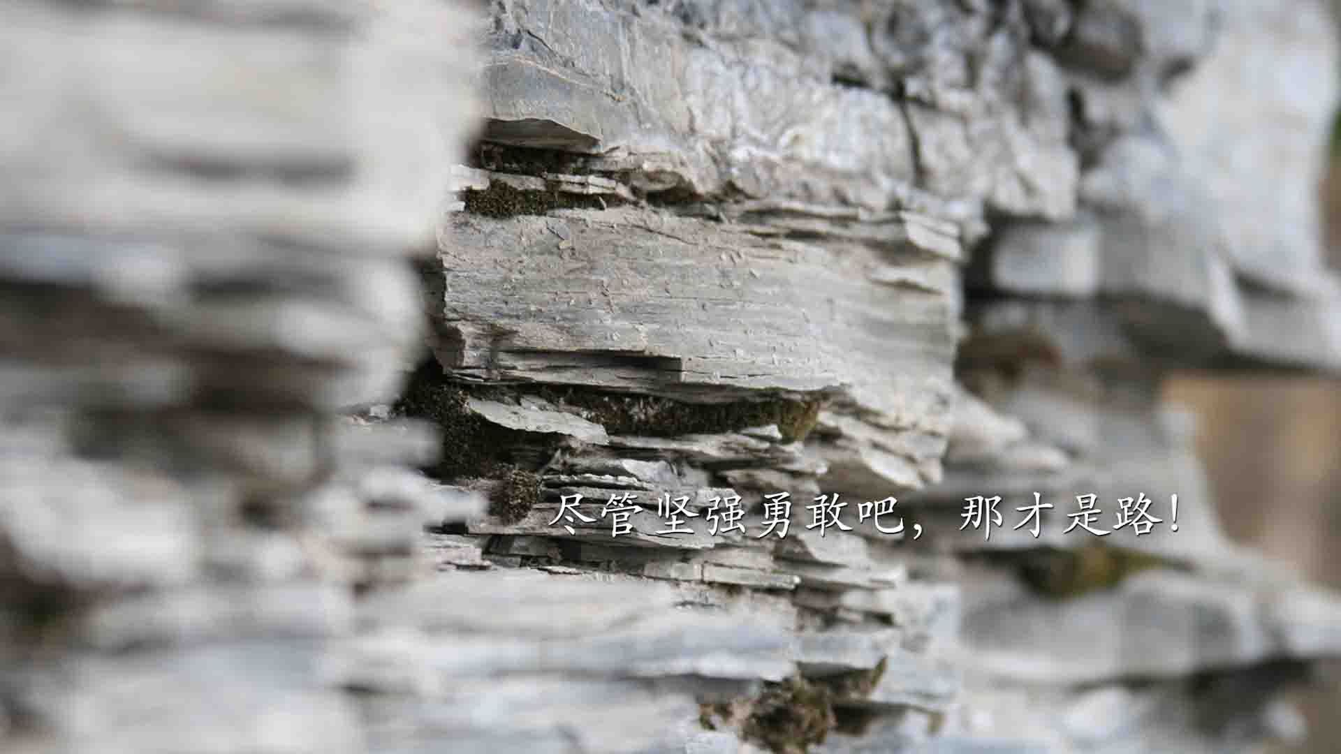 无声惊雷，卡瓦哈尔如何用一次呼吸定义西决之夜