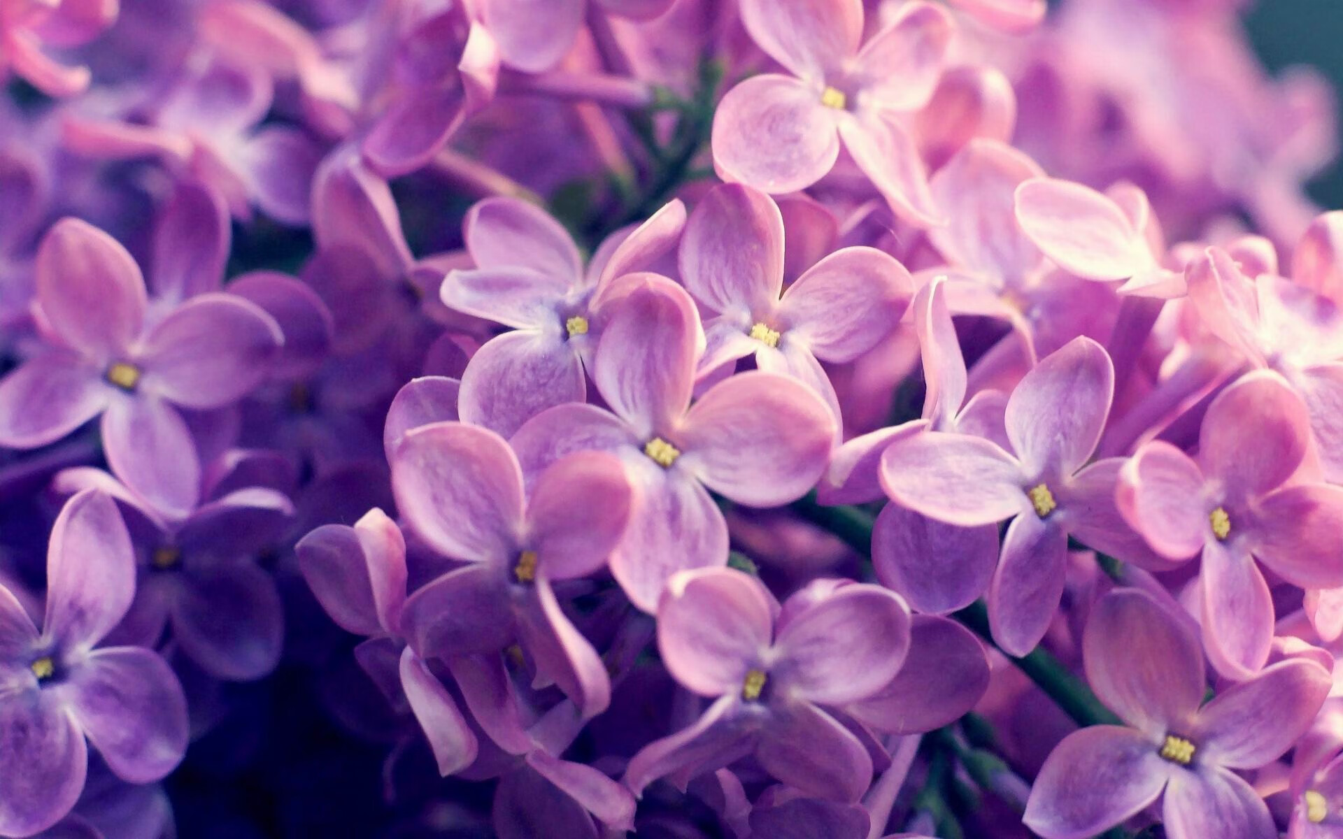 巨星之夜!萨拉赫一骑绝尘锁定胜局