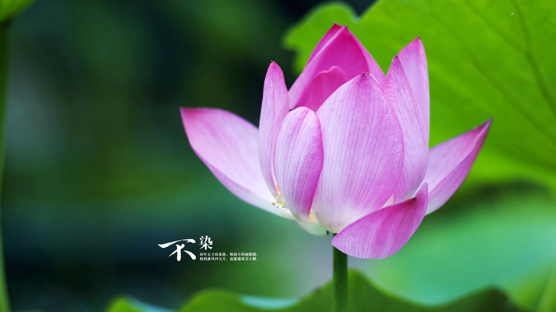 当钢铁洪流遭遇灵光一闪，现代足球的两种统治力辩证法