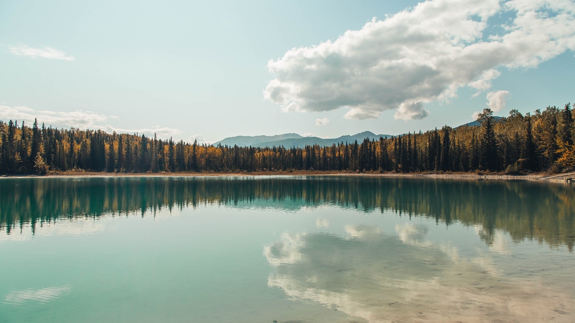 世俱杯参赛资格-西亚卡姆轰36+12弑旧主，国王力克雄鹿显黑马成色