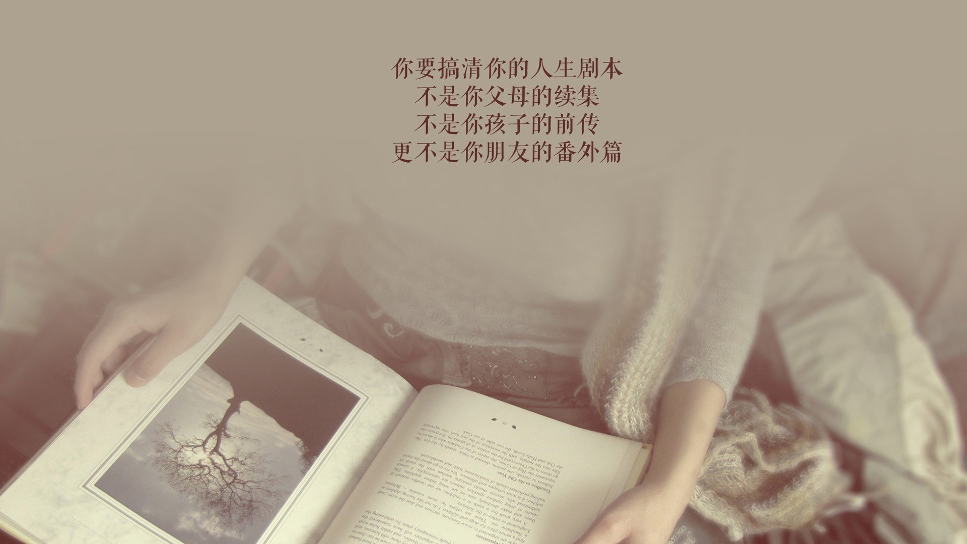 奇迹之夜，伊朗钢铁防线击穿越南，托纳利致命一击点燃2026世界杯G组战火