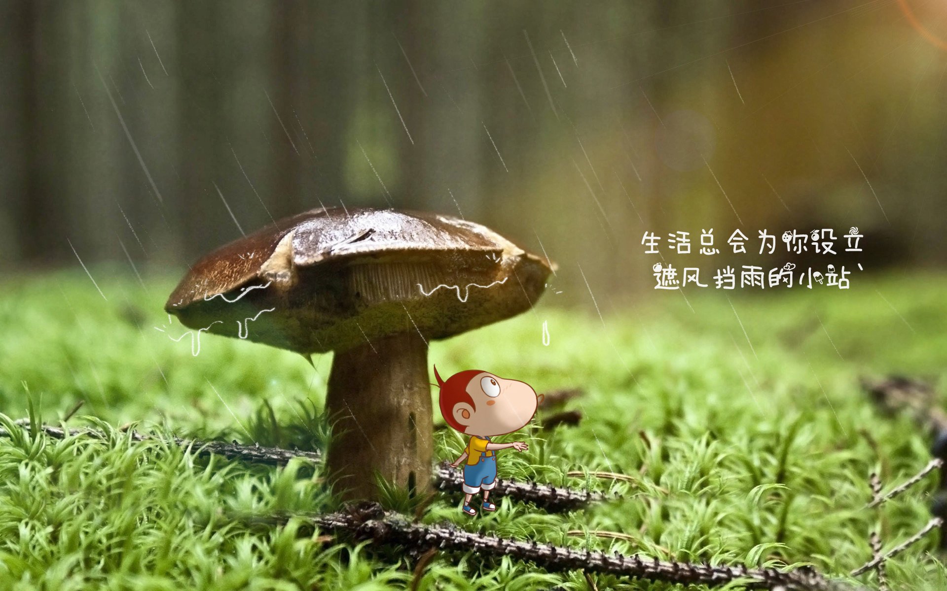 费利克斯独造三球，厄瓜多尔完胜保加利亚点燃2026世界杯焦点战